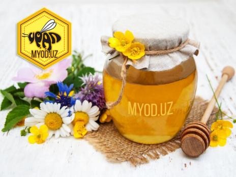 Степной мёд в Ташкенте